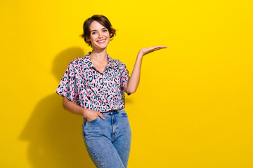 Sticker - Portrait of cheerful friendly person toothy smile arm hold empty space ad isolated on yellow color background