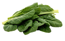 Savoring The Wholesome Flavor Of Collards On White Or PNG Transparent Background