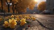 Bright daffodil flowers stand out against the asphalt backdrop