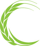 Fototapeta Tulipany - Fresh Wheat Farm logo