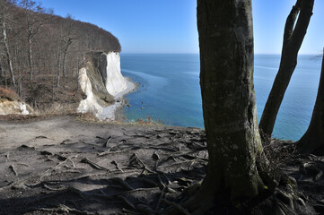 Wall Mural - Famous white cliffs