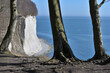 Famous white cliffs Rugen island