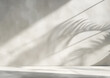 © Nuchylee - Blank empty white wall and floor studio with natural leaves shadow overlay mockup background for design, product montage display