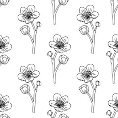 Wall Mural - Vintage hand drawn seamless pattern with flowers. Black and white linear floral texture. Bohemian line art botany elements. Elegant outline spring or summer vector surface for textile, fabric, paper