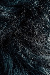 Poster - A detailed view of the fur of a furry animal. This image can be used for various purposes