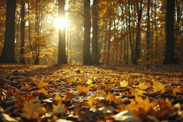 Poster - A forest filled with lots of yellow leaves. Perfect for autumn-themed designs and nature illustrations