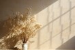 Dried gypsophila casting window shadow on a beige wall. Generative AI