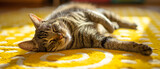 Fototapeta  - Gato deitado em um tapete amarelo com bolinhas brancas