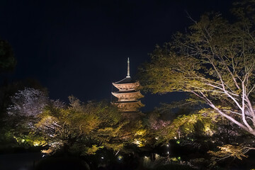 Sticker - 京都 ライトアップされた東寺の夜桜