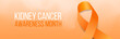Kidney cancer awareness month concept. Banner with orange ribbon awareness and text. Vector illustration.