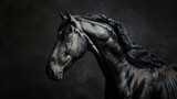 Fototapeta Konie - Black And White Horse Potrait