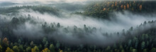 Aerial View Of Foggy Forest Shrouded In Misty Atmosphere