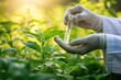 © Attasit - Agriculture nature growth science researcher eco chemical laboratory, farming organic researcher hands holding test tube research sample organic agriculture laboratory product