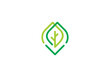 leaf tree logo line style, eco green organic plant logotype icon design template
