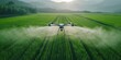 Top view Drone fly to spray fertilizer on the rice fields