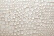White Crocodile Bone Texture Background