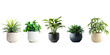 © TANATPON - Set of Green plants in potted for interior decoration isolated on transparent png background, Houseplant for decorated in bedroom or living room, minimal natural health concept.