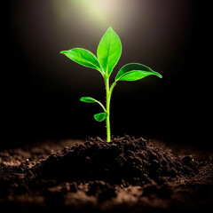 young green fresh plant growing in soil, sunlight, ecology and earth day concept