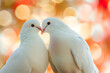Two cute white doves fell in love