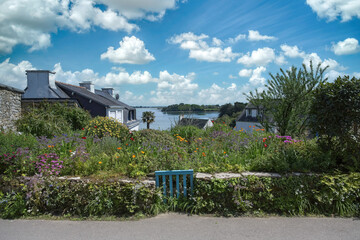 Wall Mural - Brittany, Ile aux Moines island in the Morbihan gulf, typical house with a beautiful garden in spring
