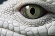 White crocodile skin rare animals