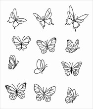 Butterfly Outlines Vector Black And White Drawing Scribble SVG