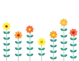 Poster - Chamomile Flowers Flat Style. Plants and meadows concept vector.