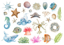 Set Of Underwater Marine Animals Octopuses, Seahorses, Starfish, Jellyfish, Seashell. Marine Inhabitants Of The Underwater World. Animal Elements Isolated On White Background