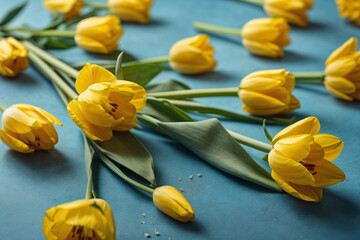 yellow tulips