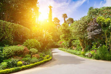 Poster - Sunrise in beautiful summer park