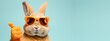 © Corri Seizinger - Funny easter animal pet - Easter bunny rabbit with sunglasses, giving thumb up, isolated on blue background