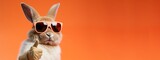 Fototapeta Zwierzęta - Funny easter animal pet - Easter bunny rabbit with sunglasses, giving thumb up, isolated on orange background