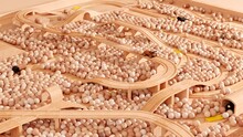 Artistic 3d Animation Of A Wooden Rail Set With Toy Train And Cars Inside A Ball Pit.