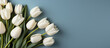 White tulip flowers on blue background. Floral wallpaper, banner. February 14, valentine's day, love, 8 march women's day theme.	
