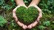 Human hands cradling a heart-shaped moss in nature