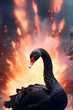 Black swan event with fiery explosion