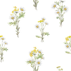 Wall Mural - Seamless pattern Watercolor Daisy and tansy. Hand drawn illustration of Chamomile. bouquet of white blossom flowers on isolated background. Drawing botanical clipart invitation cards. Paint wildflower
