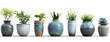 Collection of retro, vintage, and modern vases and interior plant pots isolated on a white background. Perfect for home decor and interior design.