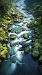 green nature and natural river