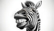 portrait of a laughing zebra