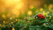 ladybug crawls on a green four-leaf clover Ai generative