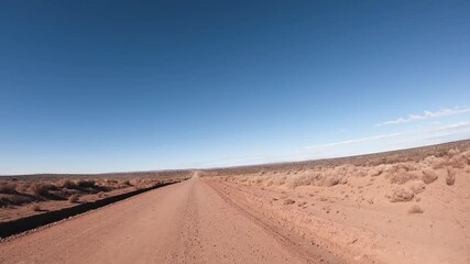 Wall Mural - Traveling in the oilfields of Vaca Muerta. Point of view of a car driving along the desert road under a clear blue sky. 