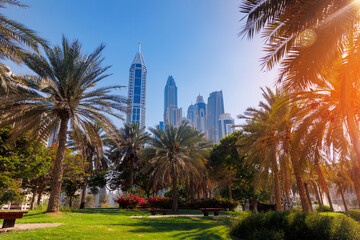 Cityscape of Dubai, summer park with skyscrapers, sunlight. Amazing view skyline. Concept travel tourism in UAE