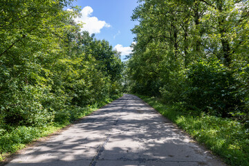 Wall Mural - paved road in sunny weather