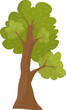 Cartoon style solitary oak tree with lush green foliage and detailed brown trunk isolated on white. Nature and environment theme, simple tree vector illustration.
