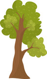 Fototapeta Młodzieżowe - Cartoon style solitary oak tree with lush green foliage and detailed brown trunk isolated on white. Nature and environment theme, simple tree vector illustration.