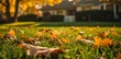a suburban residential area background. leaves laying on grass near a home, serene autumn landscape perspective. generative AI