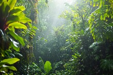 Rain In Tropical Rainforest With Backlit Green Plants And Water And Sunrays