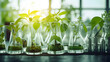 Des recherches en laboratoire sur des plantes dans une série d'éprouvettes en verre.