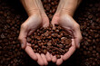 Farmer Hands Holding Rich Colombian Coffee Beans Indigenous agriculture and farming generative ai